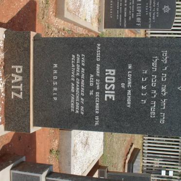 PATZ Rosie -1976