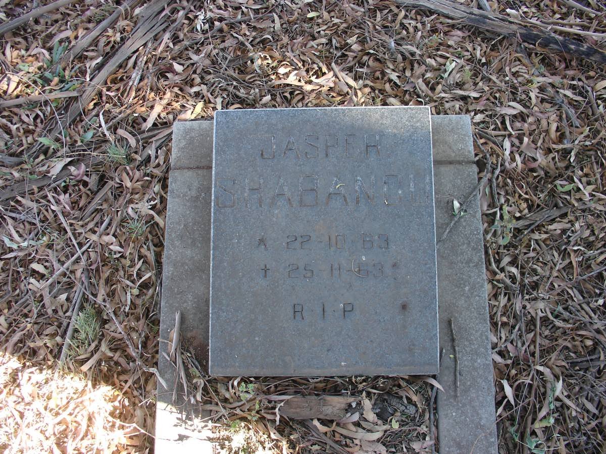 SHABANBU Casper 1963-1963