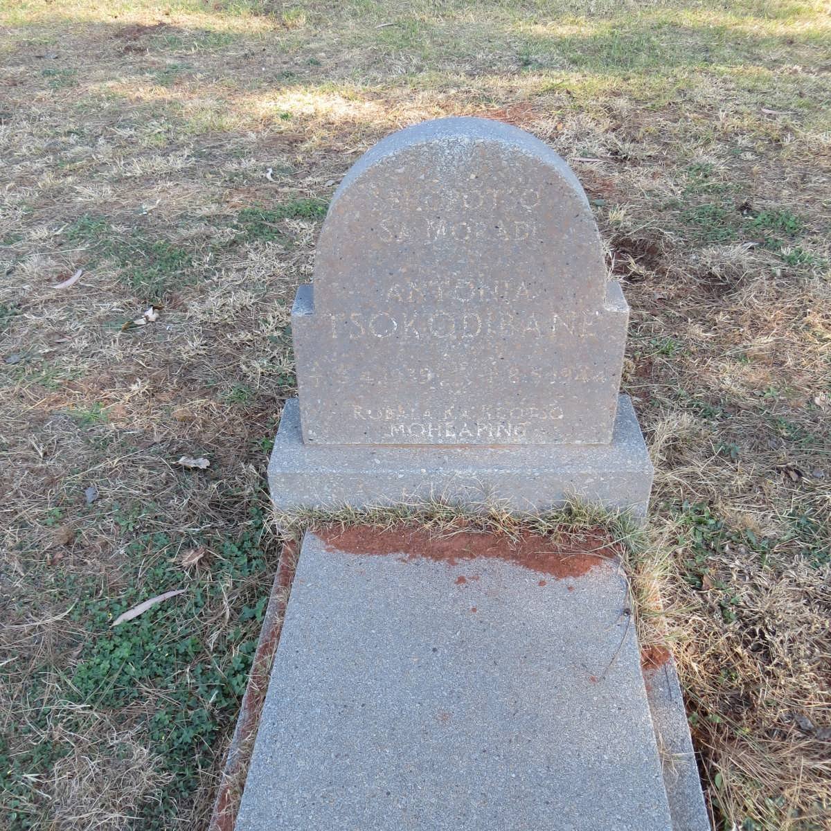 TSOKODIBANE Antonia 1939-1944