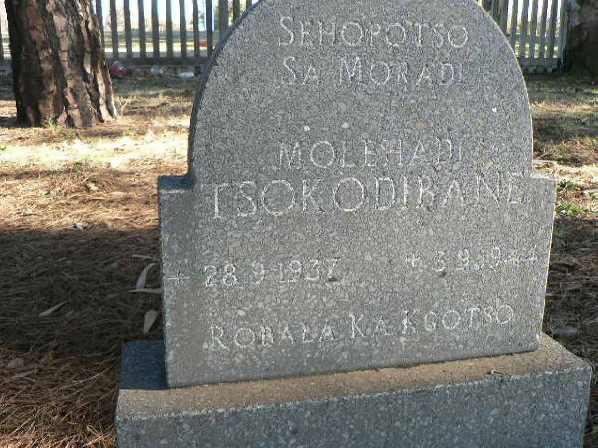 TSOKODIBANE Molehadi 1937-1944