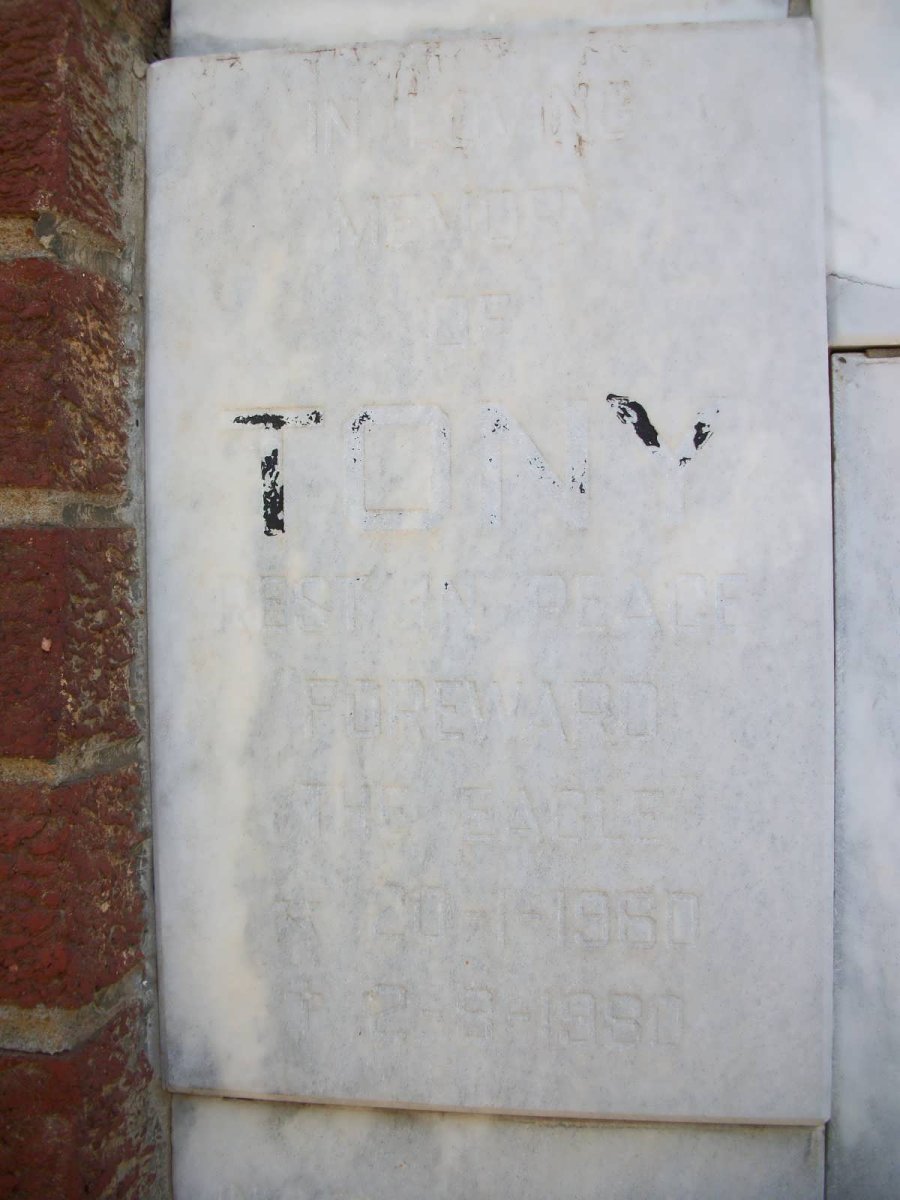 ? Tony 1960-1980