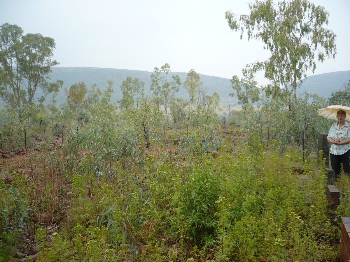 1. Overview 