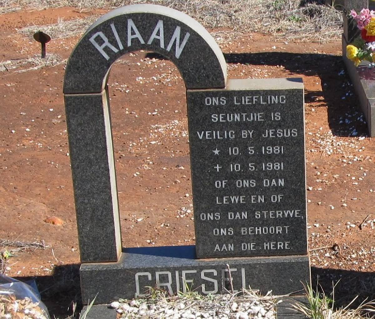 GRIESEL Riaan 1981-1981