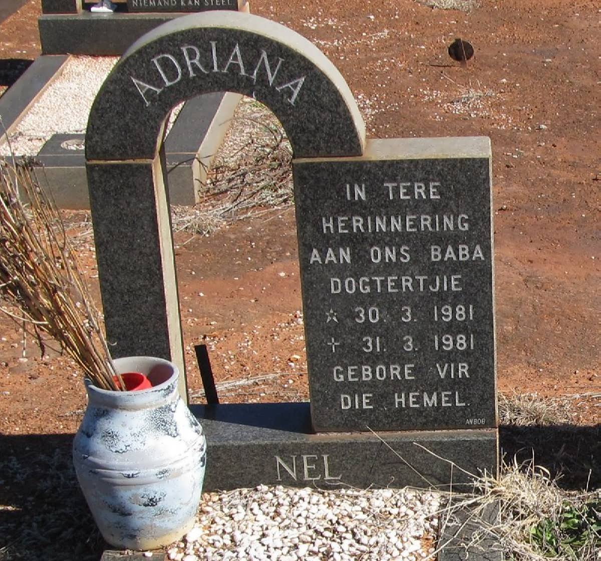 NEL Adriana 1981-1981