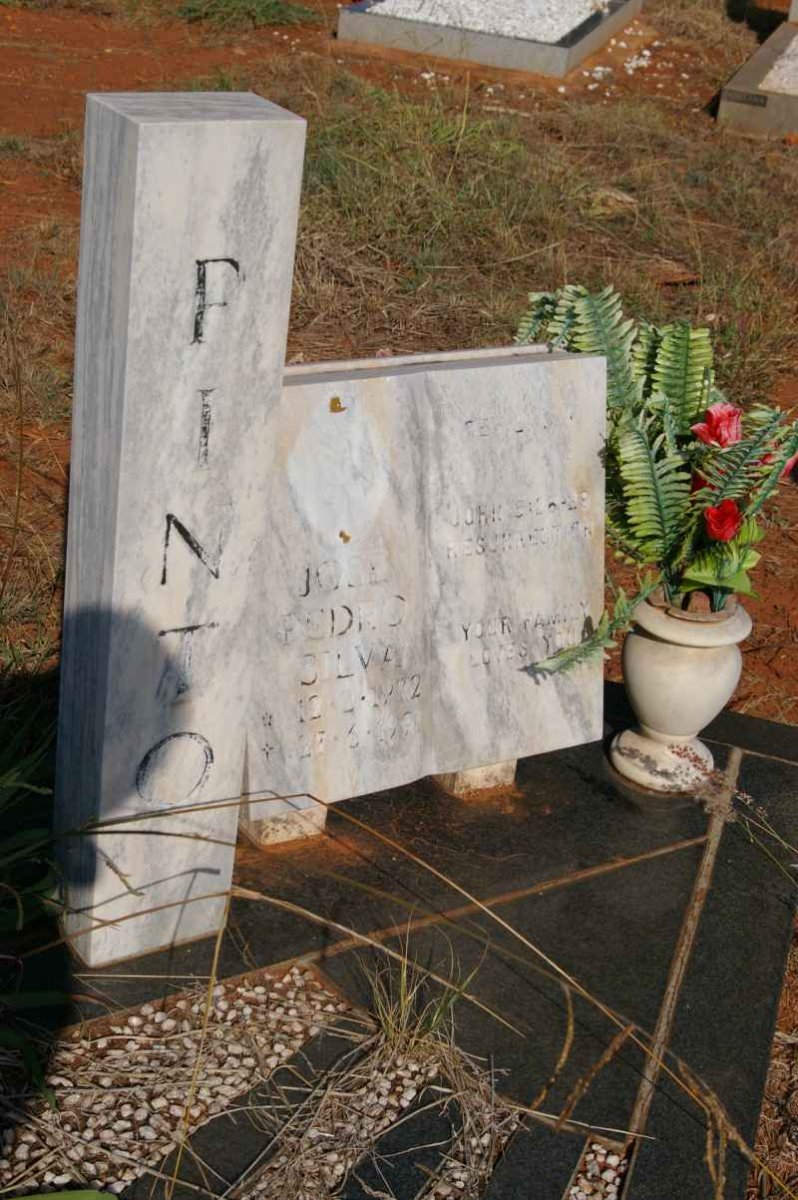 PINTO Jose Pedro Silva 1972-1991