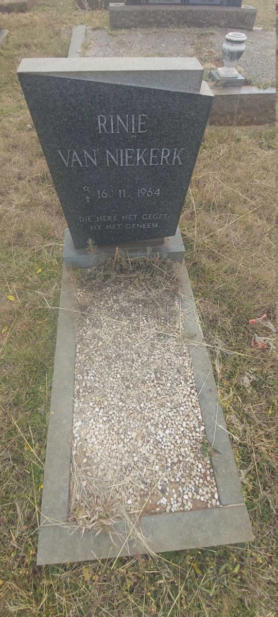 NIEKERK Rinie, van 1964-1964