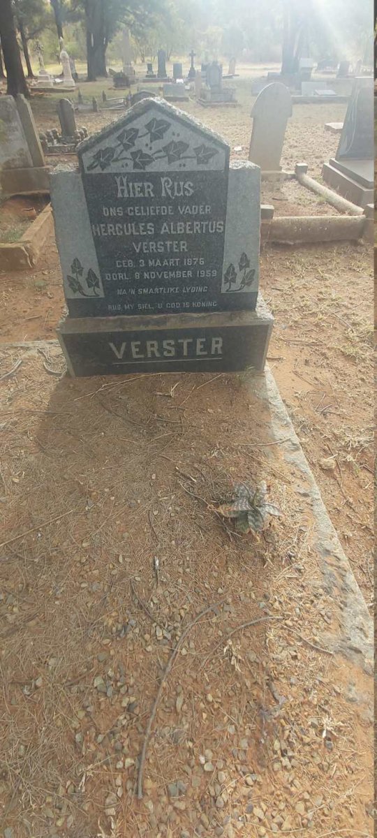 VERSTER Hercules Albertus 1876-1959