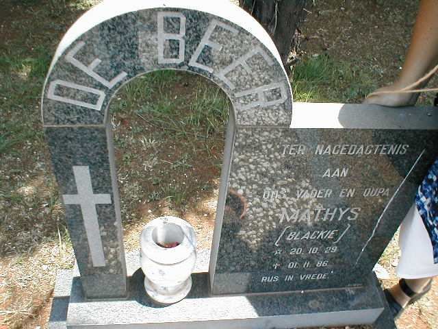 BEER Mathys, de 1929-1986