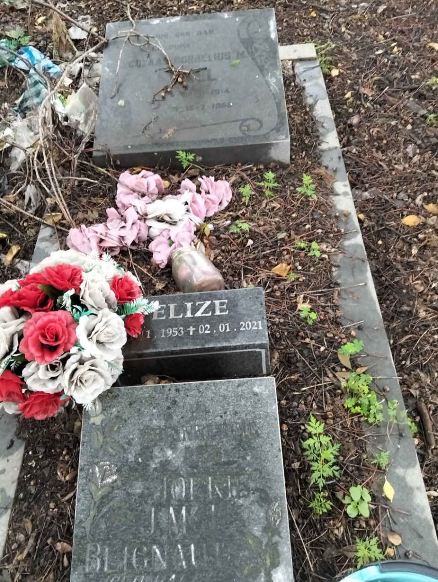 ? Elize 1953-2021
