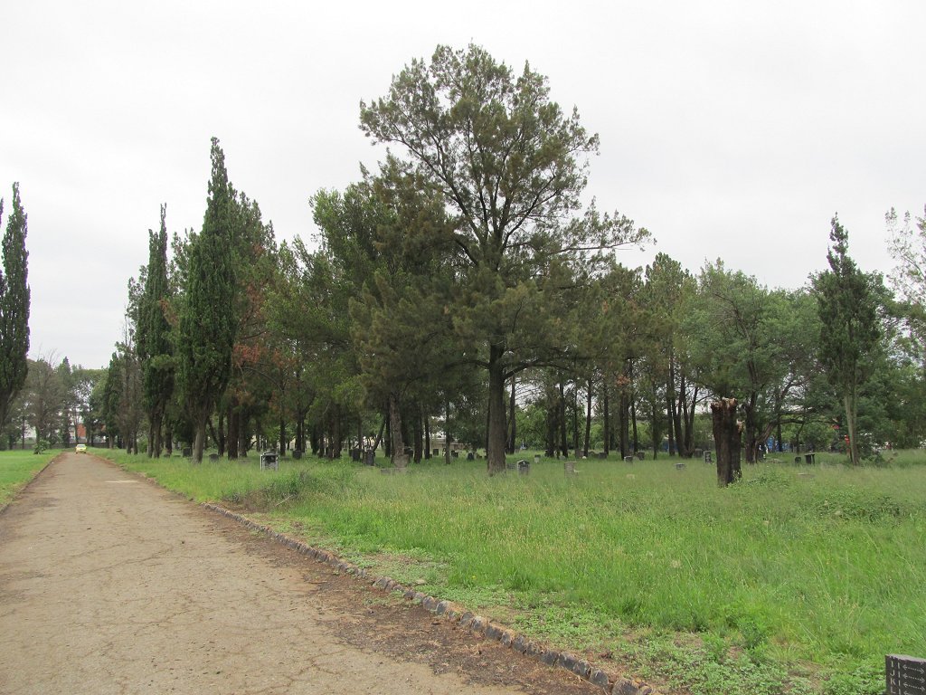 2. Overview