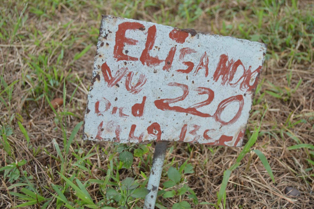 NDL?VU Elisa -1949
