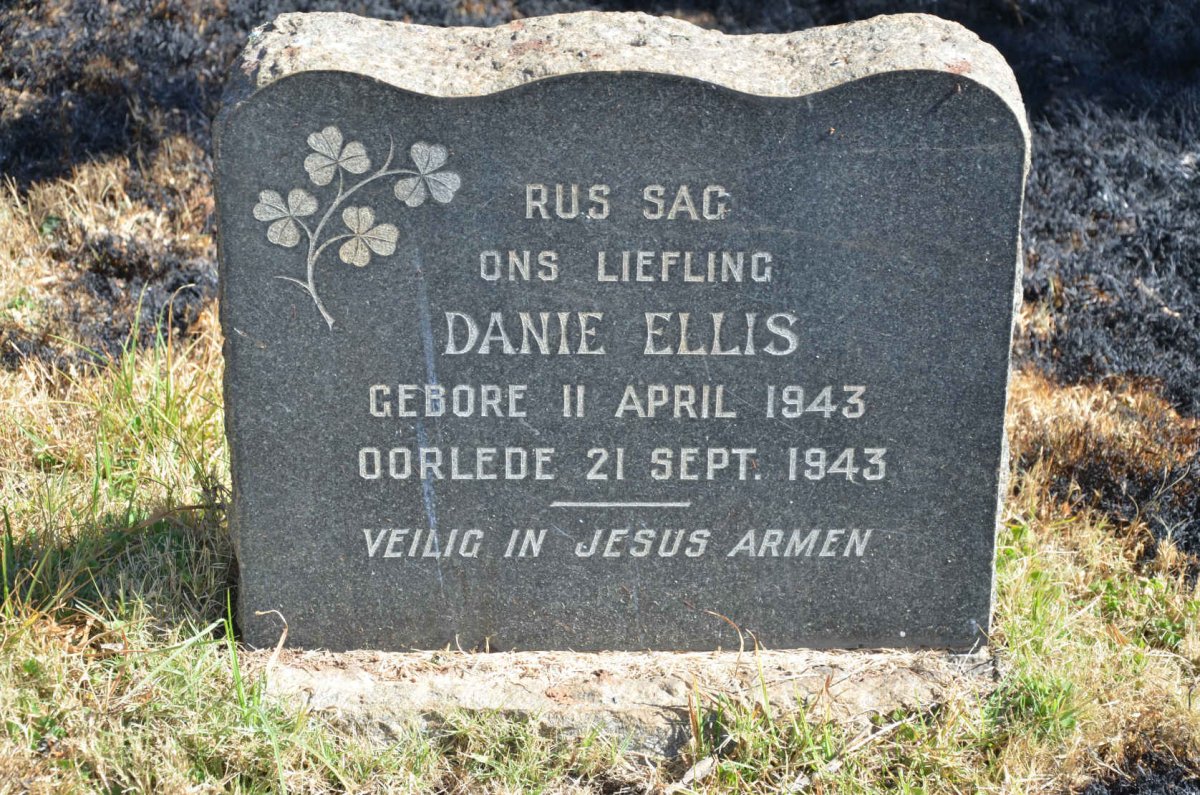 ELLIS Danie 1943-1943