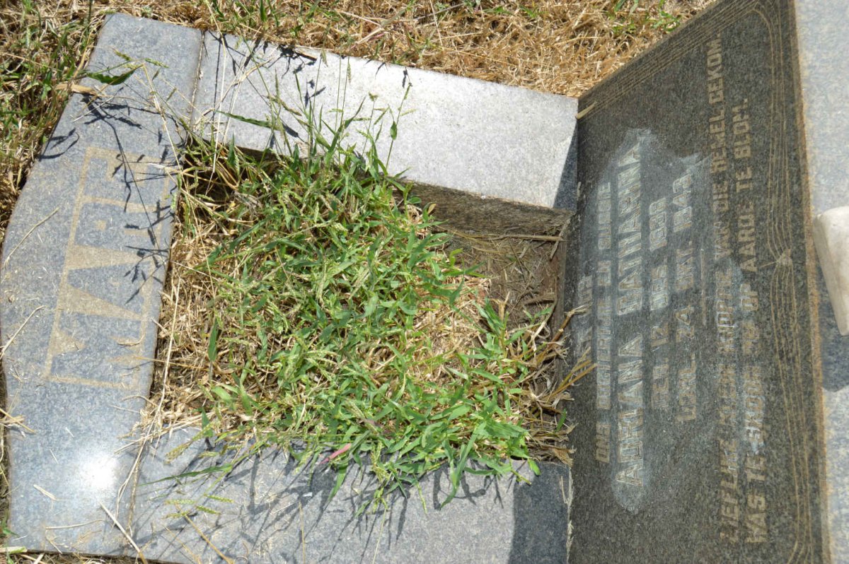 MARE Adriana Catharina 1938-1943