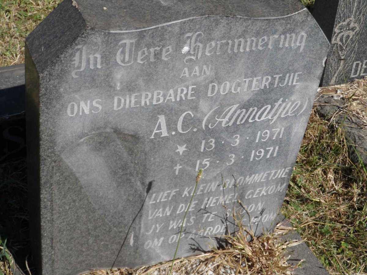 SCHUTTE A.C. 1971-1971