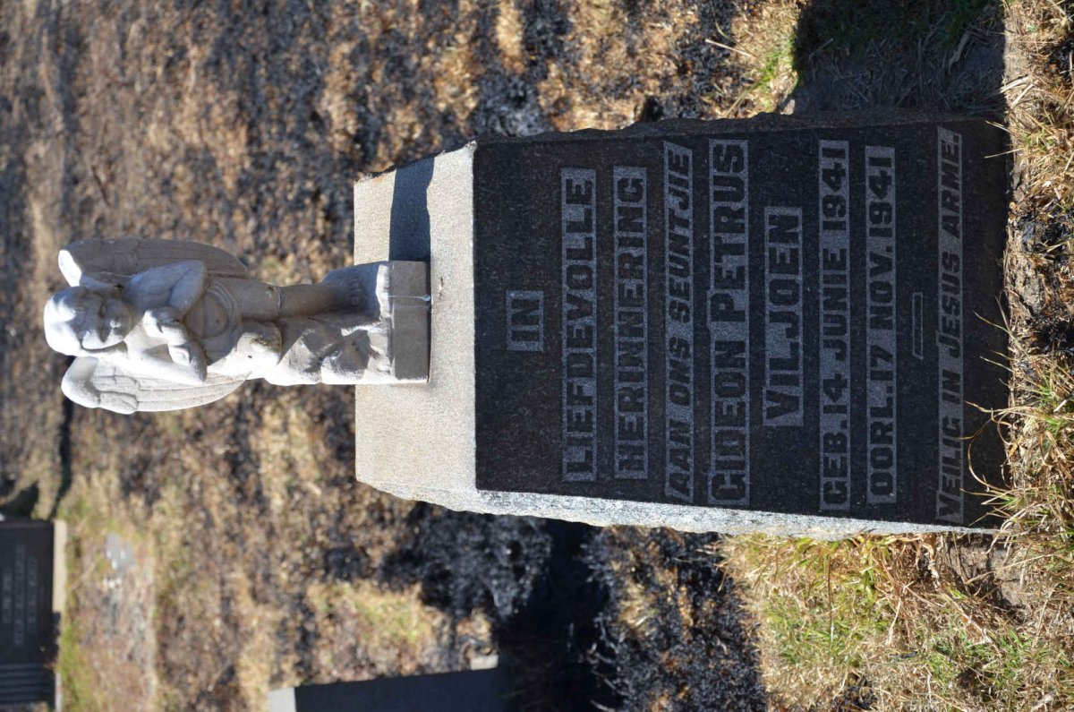 VILJOEN Gideon Petrus 1941-1941