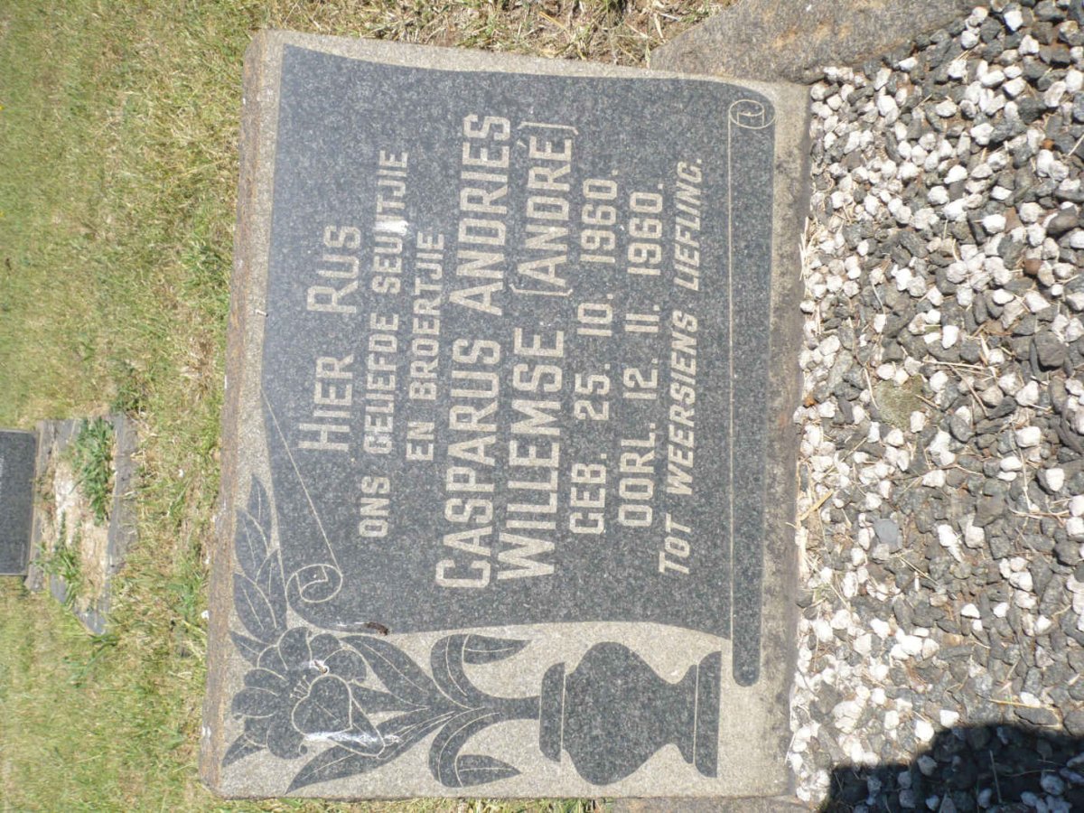 WILLEMSE Casparus Andries 1960-1960