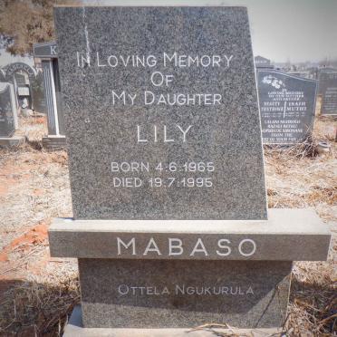 MABASO Lily 1965-1995