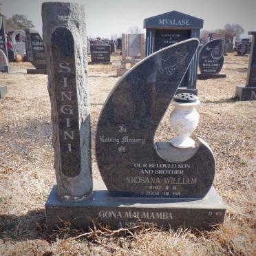 SINGINI Nkosana William 1992-2004