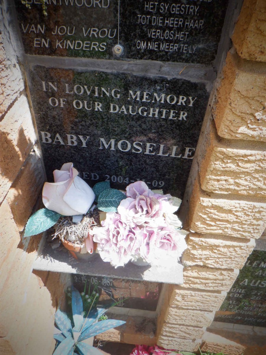 MOSELLE Baby -2004 