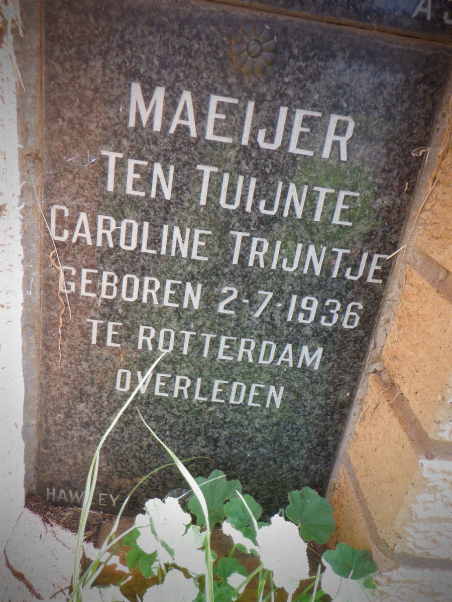 MAEIJER Caroline Trijntje 1936- 