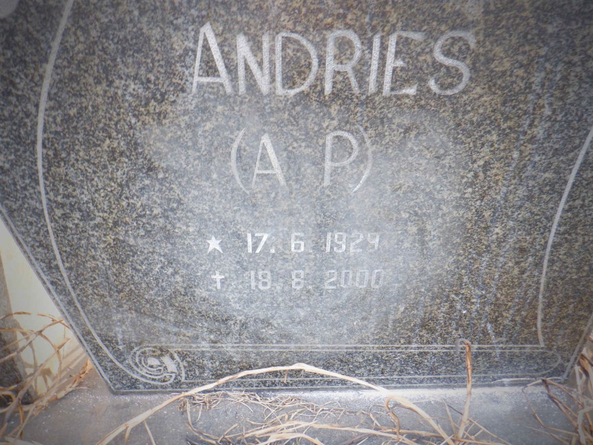 ? Andries A.P. 1929-2000