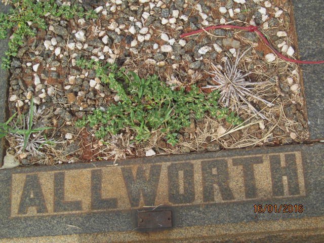 ALLWORTH Alexander 1932-1934 _1