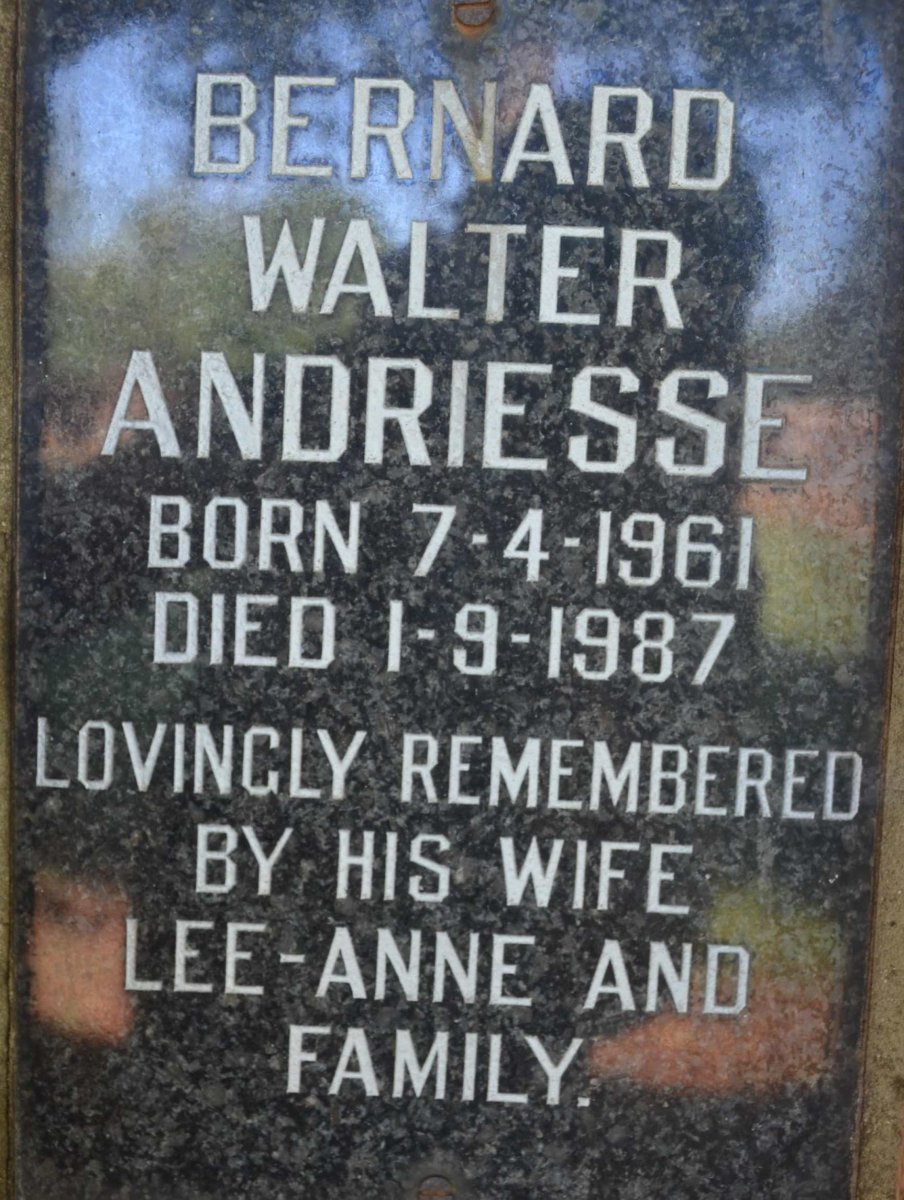 ANDRIESSE Bernard Walter 1961-1987