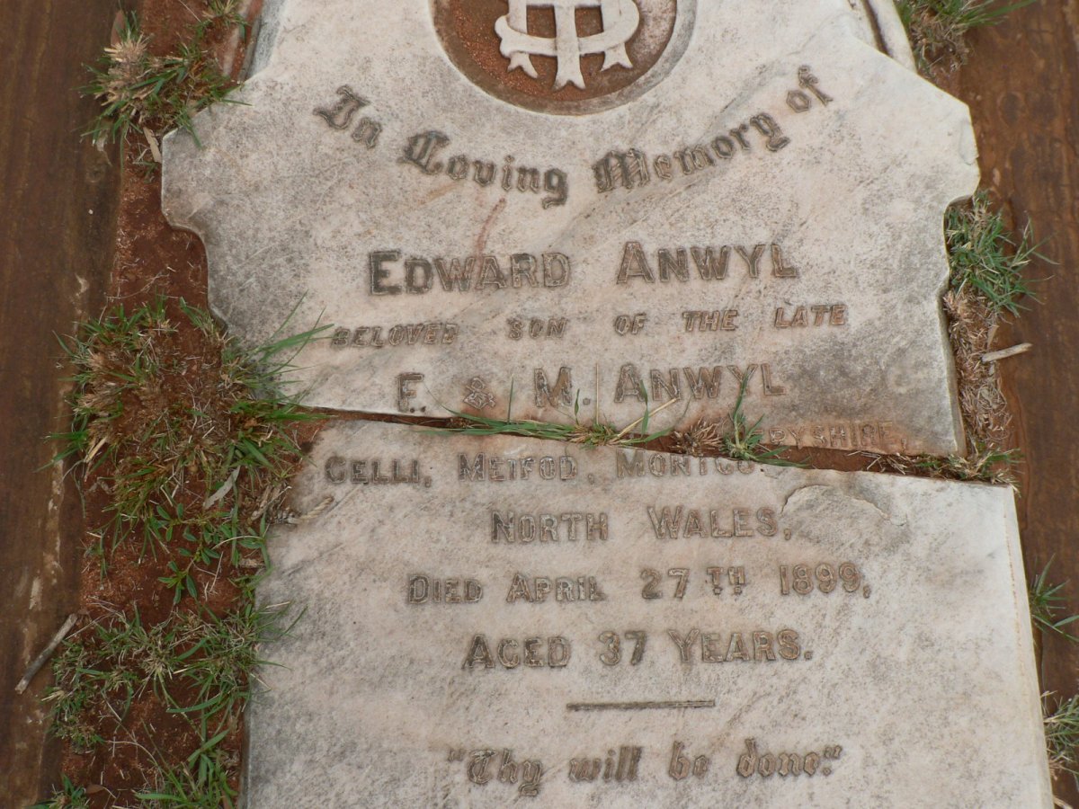 ANWYL Edward -1899