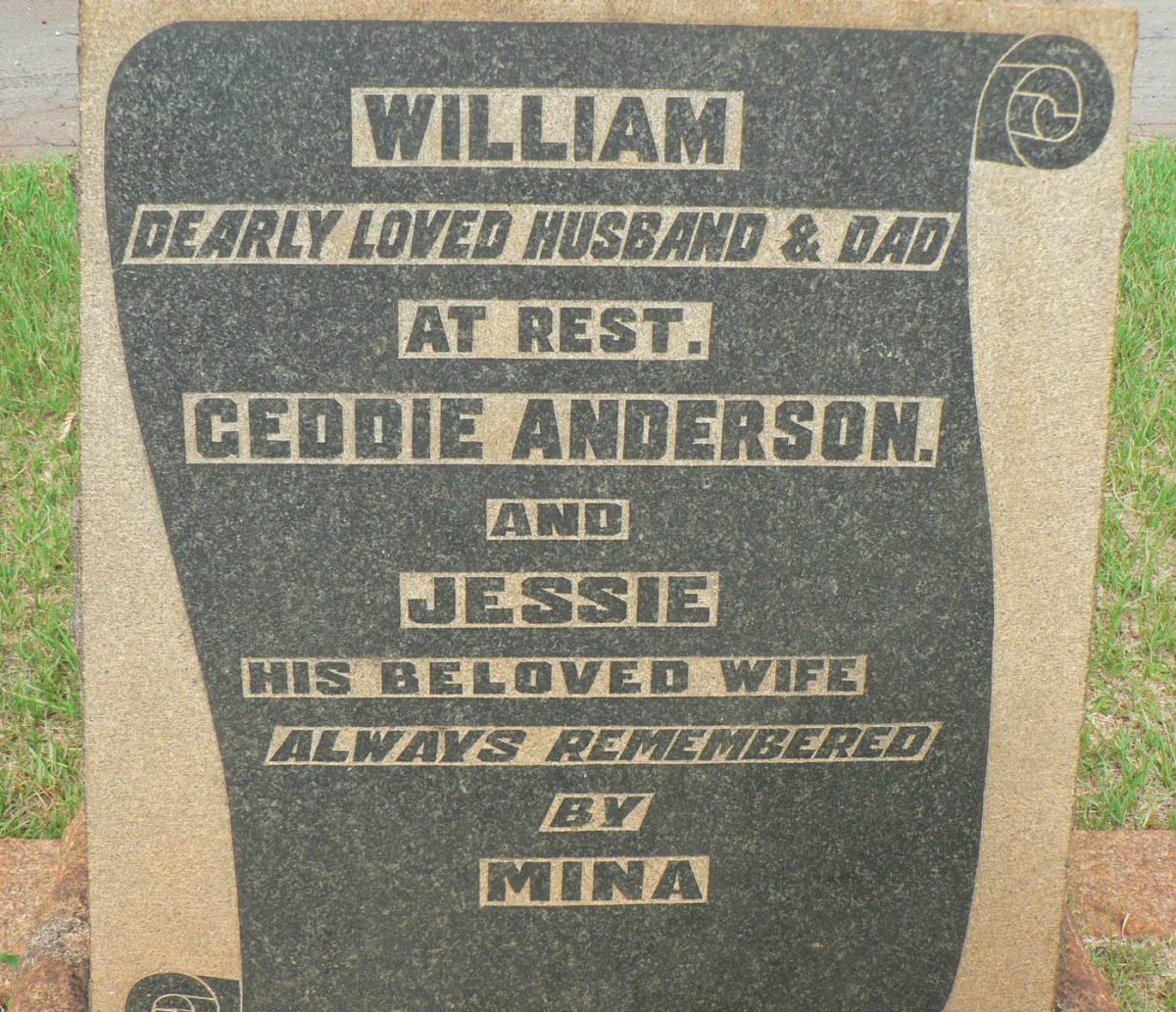ANDERSON William :: ANDERSON Geddie :: ANDERSON Jessie