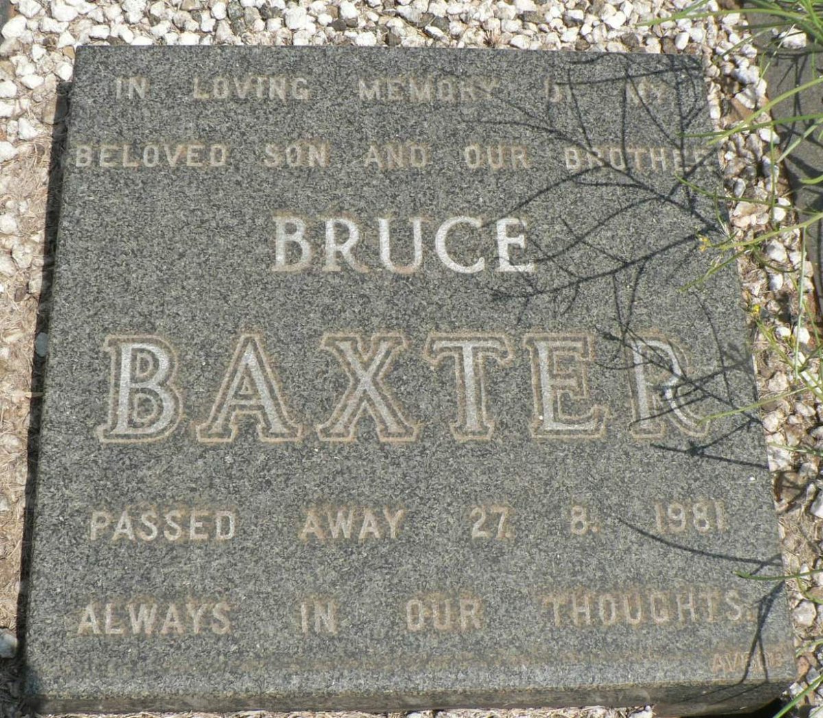 BAXTER Bruce -1981