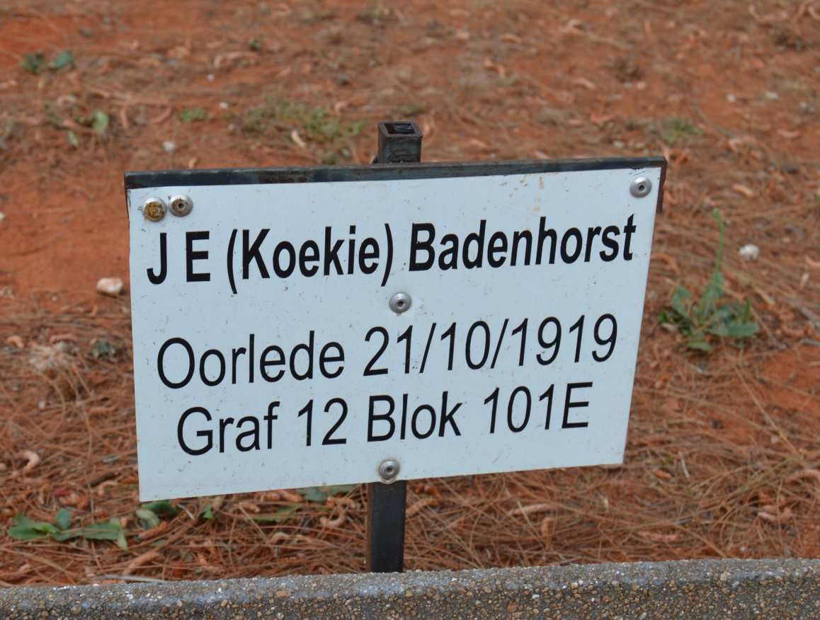 BADENHORST J.E. -1919