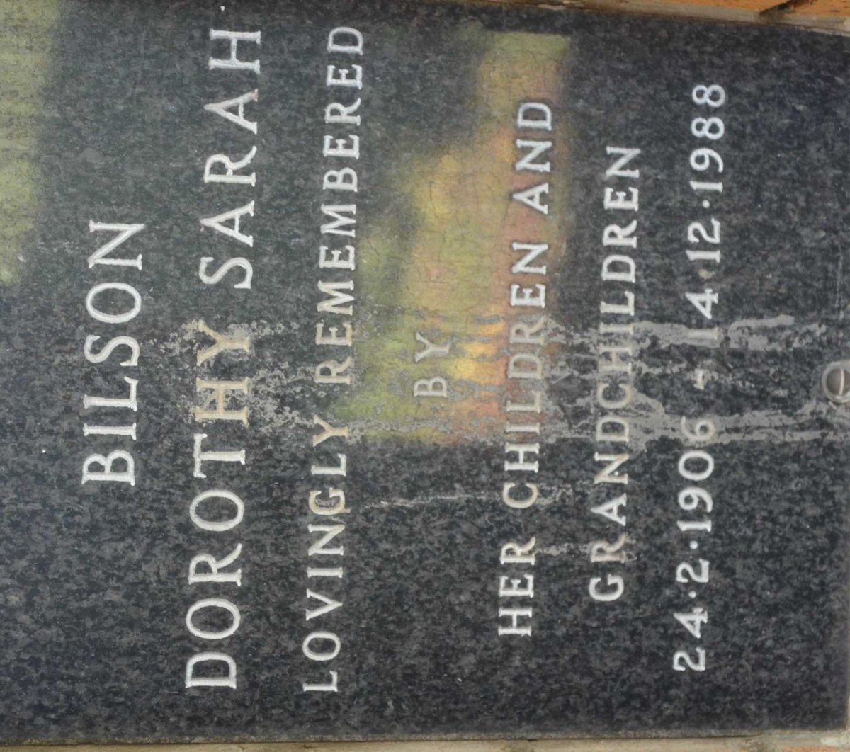 BILSON Dorothy Sarah 1906-1988