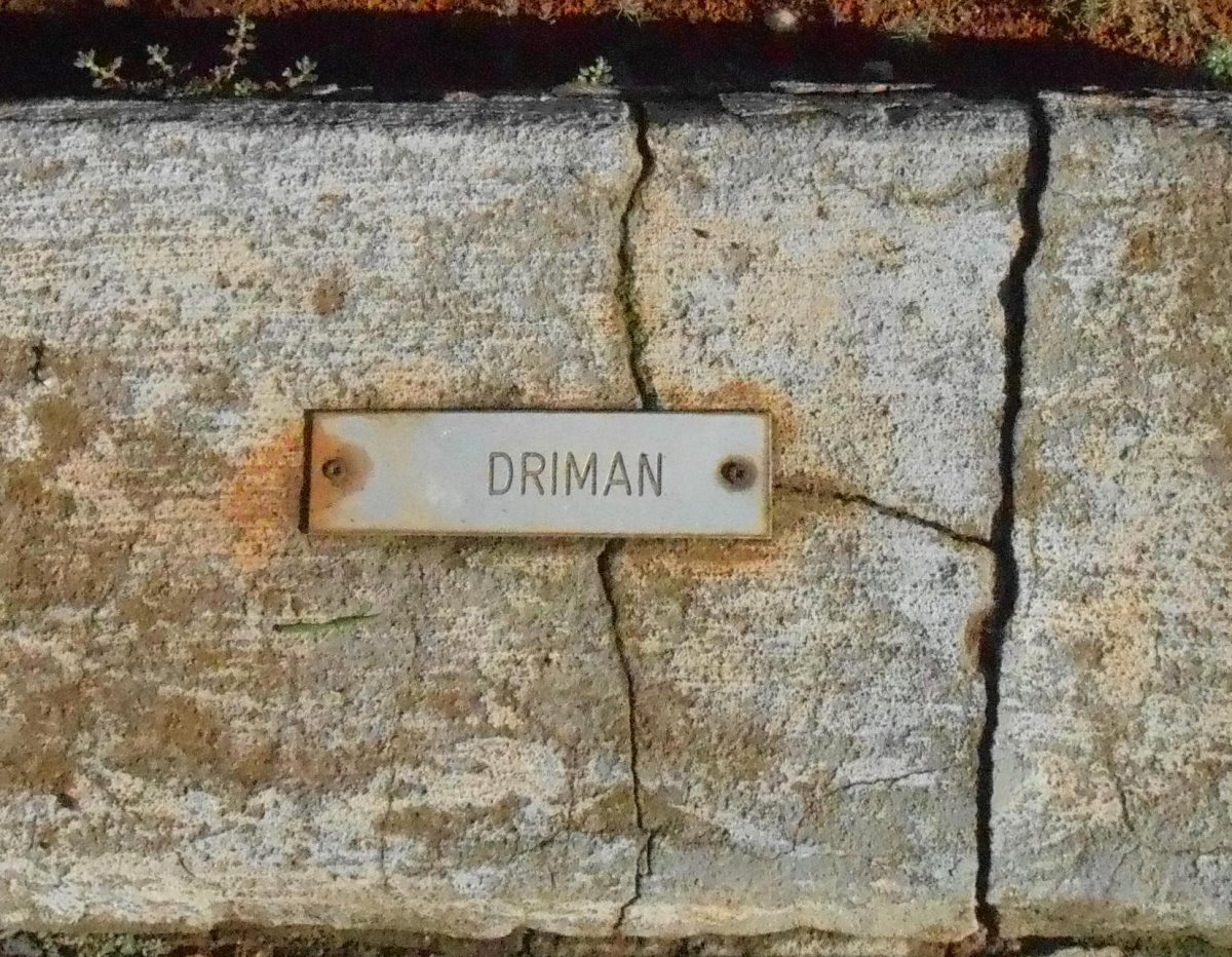 DRIMAN