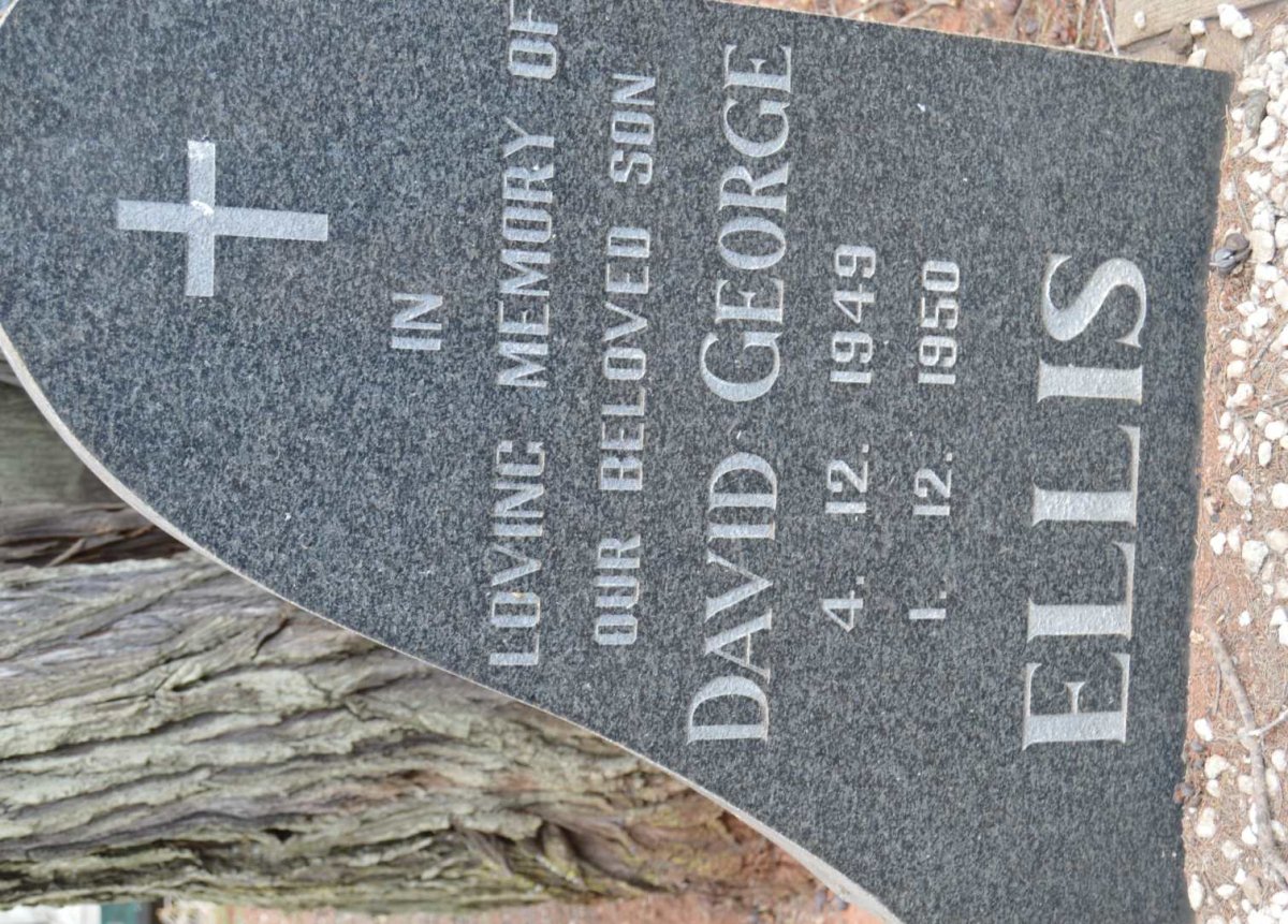 ELLIS David George 1949-1950