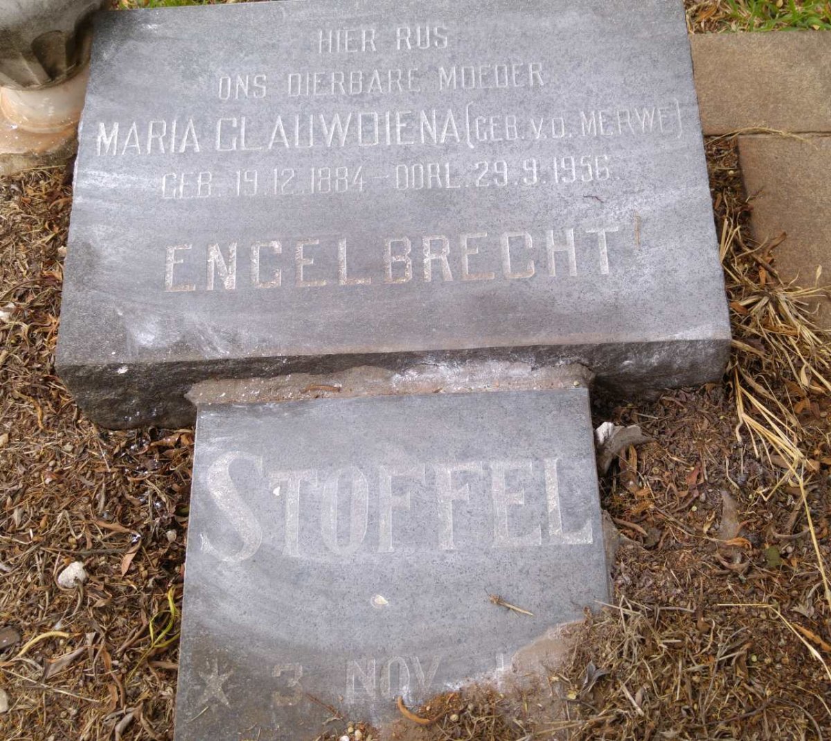 ENGELBRECHT Maria Clauwdiena nee V.D. MERWE 1884-1956 :: ENGELBRECHT Stoffel