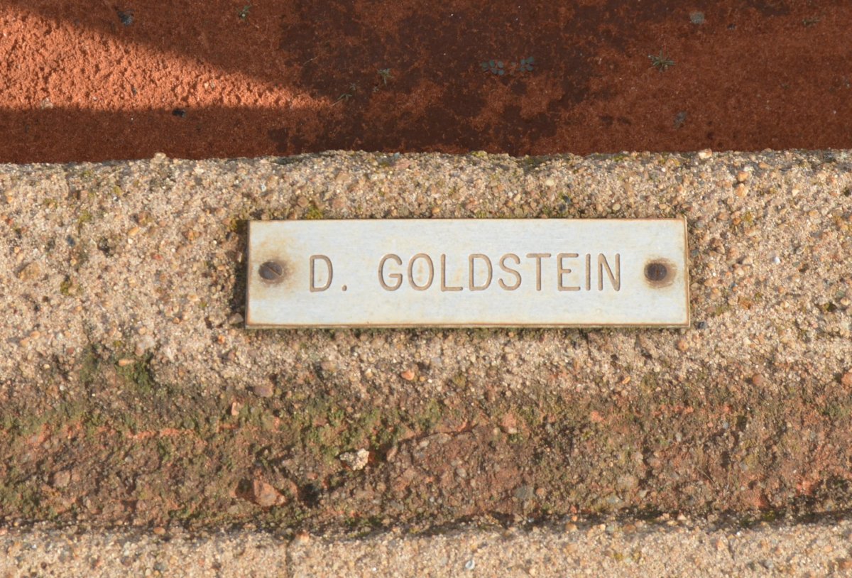 GOLDSTEIN D.
