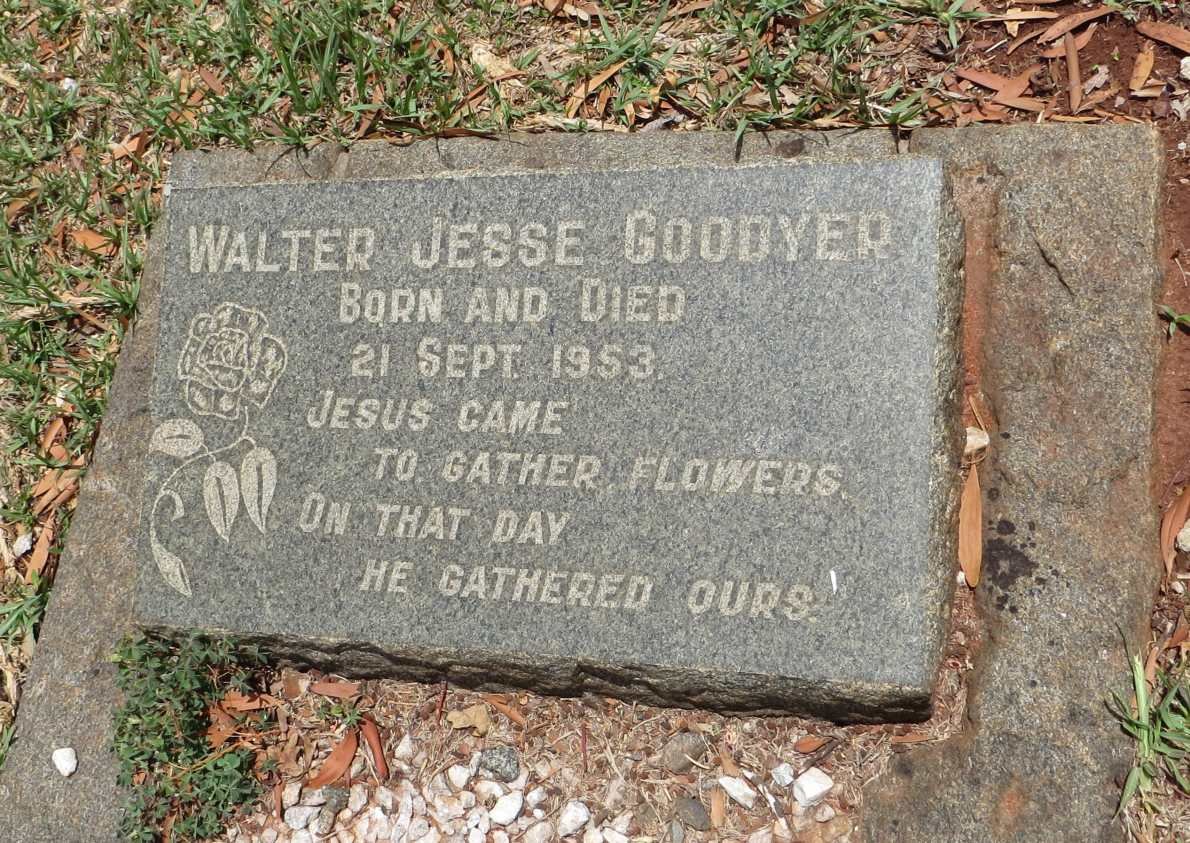 GOODYER Walter Jesse 1953-1953