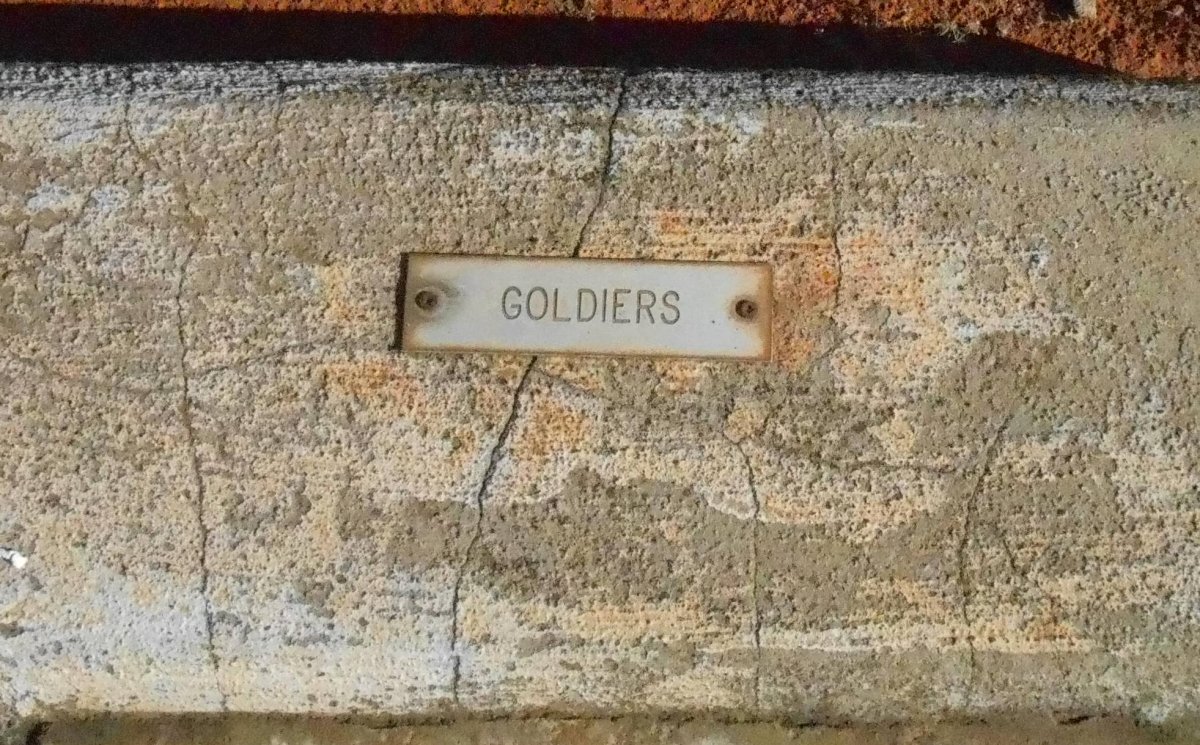 GOLDIERS