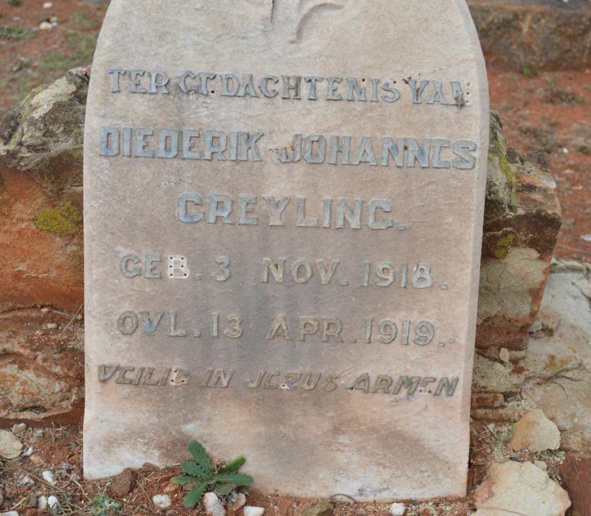 GREYLING Diederik Johannes 1918-1919