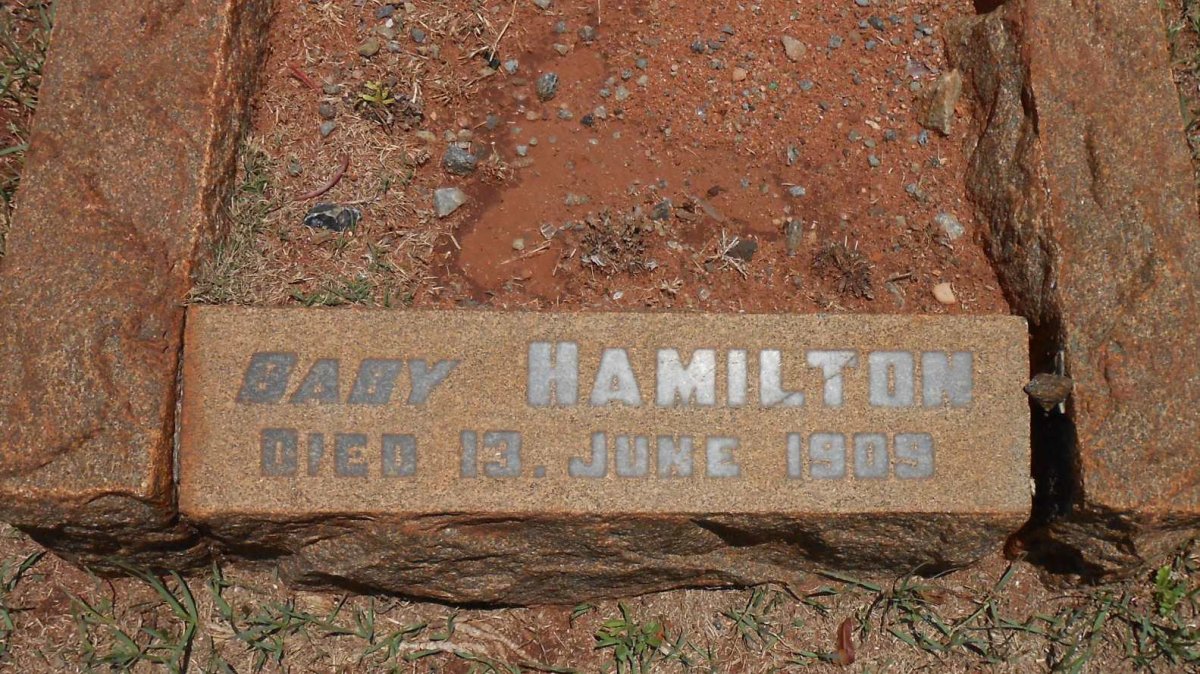HAMILTON Baby -1905
