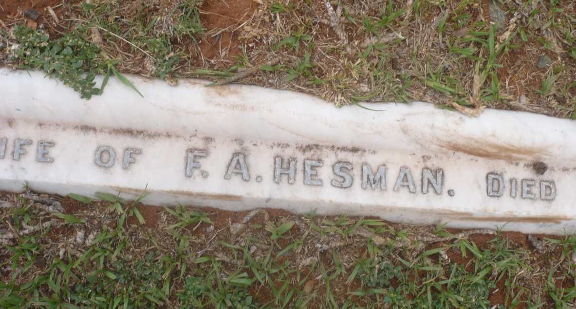 HESMAN Eve -1903