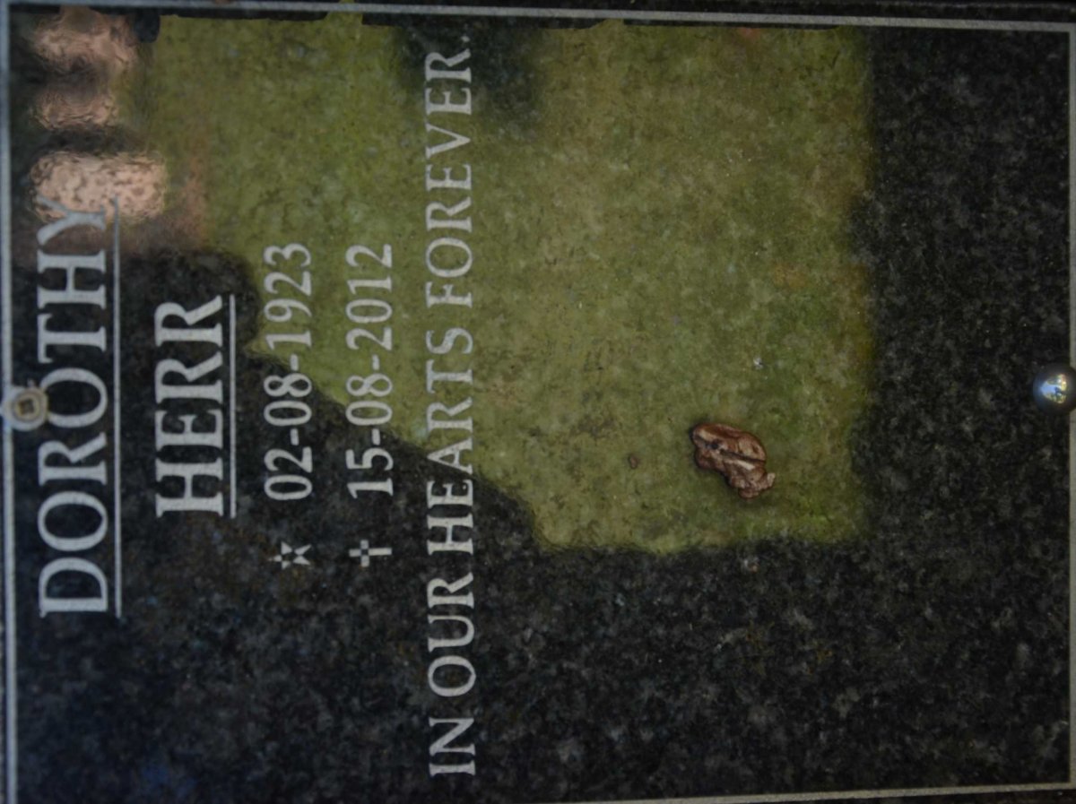 HERR Dorothy 1923-2012