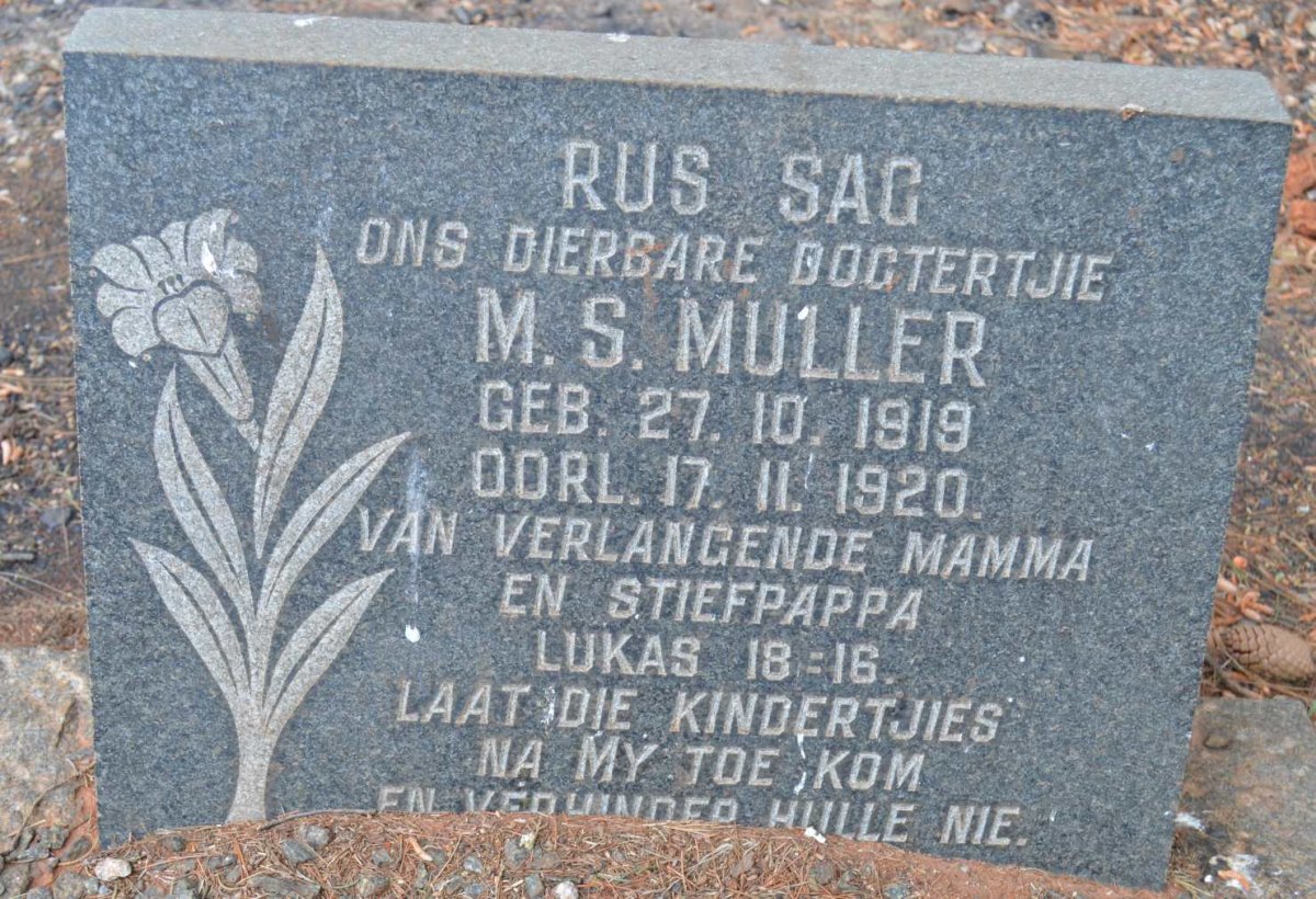 MULLER M.S. 1919-1920