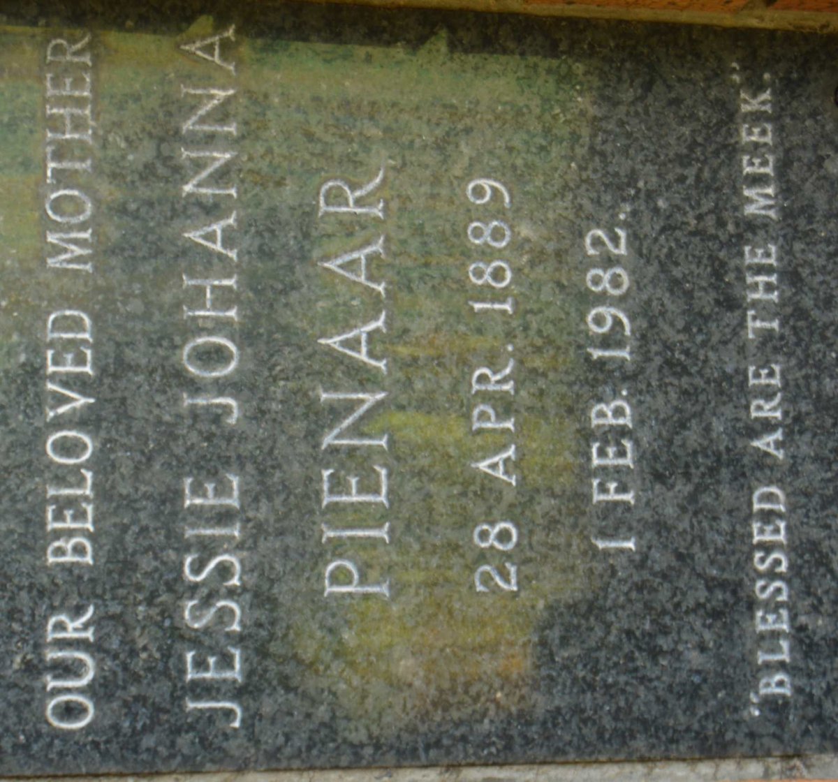 PIENAAR Jessie Johanna 1889-1982