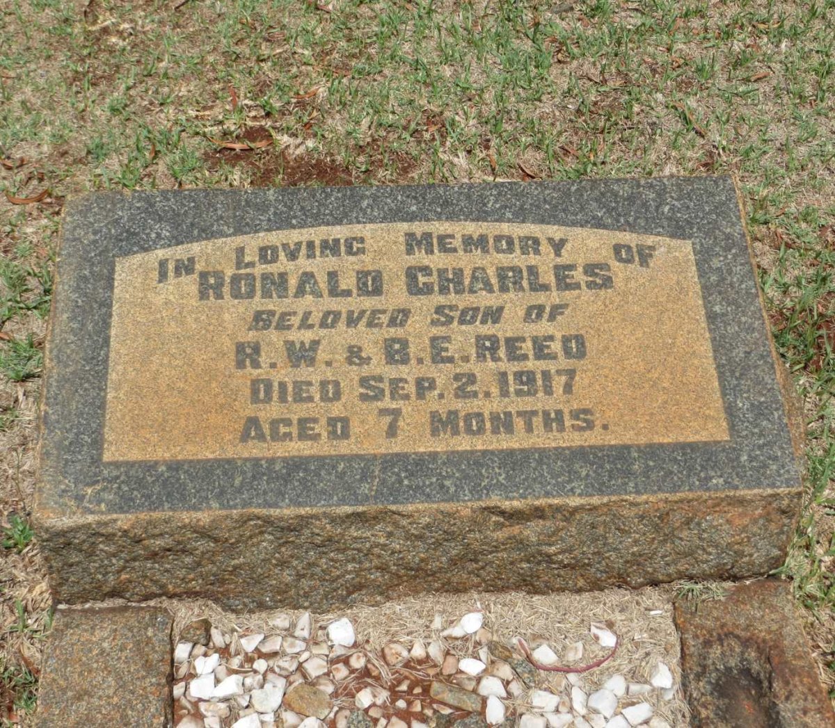 REED Ronald Charles -1917