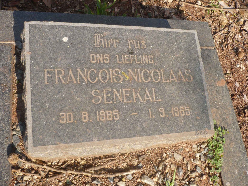 SENEKAL Francois Nicolaas 1965-1965