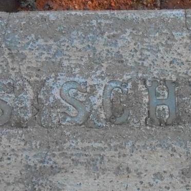 SISCHY