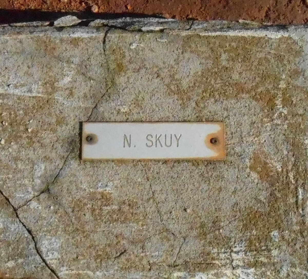 SKUY N.