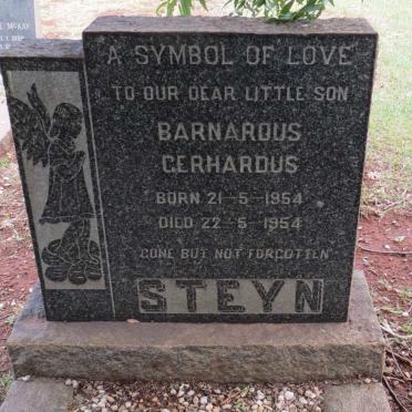 STEYN Bernardus Gerhardus 1954-1954