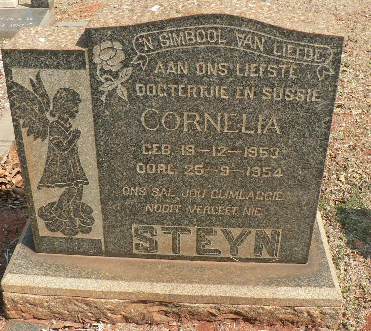 STEYN Cornelia 1953-1954